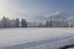 IMG_20250101_103643