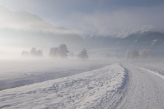 IMG_20250101_103837
