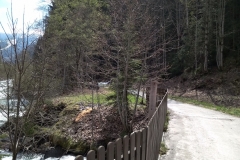 IMG_20190501_121909