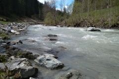 IMG_20190501_124140