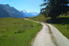 IMG_20200710_110654
