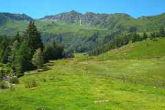 IMG_20200710_112009