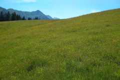 IMG_20200710_112356