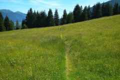 IMG_20200710_112506