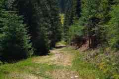 IMG_20200710_112722