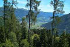 IMG_20200710_112727