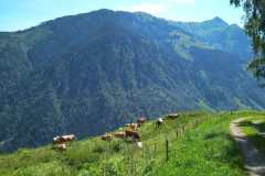 IMG_20200710_113153