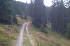 kitzb8 kitzb8