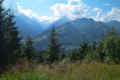 IMG_20200811_114940