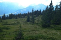 IMG_20200811_122904