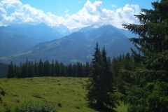 IMG_20200811_124010