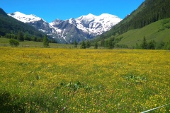 IMG_20200612_103434
