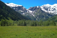 IMG_20200612_105502