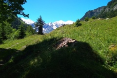 IMG_20200612_120428