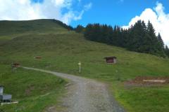 IMG_20200712_112432