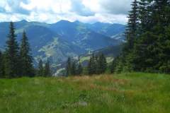 IMG_20200712_120441