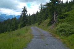 IMG_20200712_120652