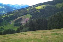 IMG_20200712_135705