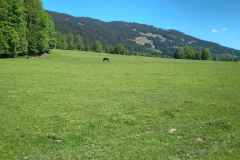 IMG_20250513_094504_HDR