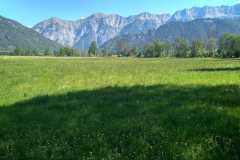 IMG_20250513_101229_HDR