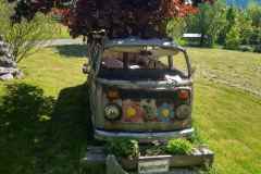 IMG_20250513_104934_HDR