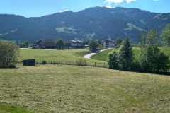 IMG_20250513_104939_HDR