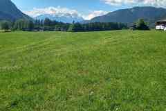 IMG_20250513_105755_HDR