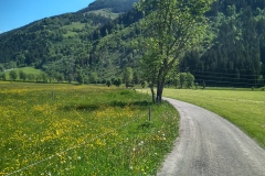 IMG_20250513_112405_HDR