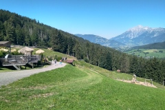 IMG_20260713_101313_HDR