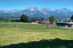IMG_20260713_120920_HDR