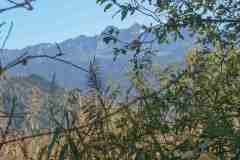 DSC03526 DSC03526