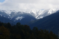 DSC09345