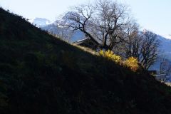 DSC03732