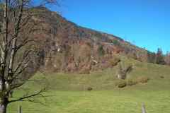IMG_20221016_120253