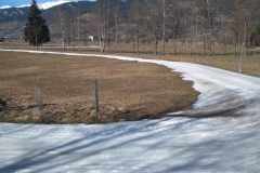 IMG_20240216_124518