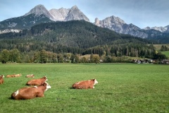 maria-alm-5