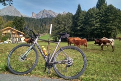 maria-alm-6