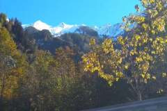 IMG_20201019_125847
