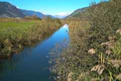 IMG_20201019_135050