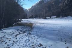 IMG_20240302_105724
