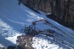 IMG_20240302_112326