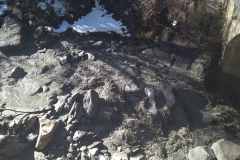 IMG_20240302_113649