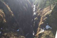 IMG_20240302_123900