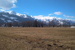 IMG_20190320_102758