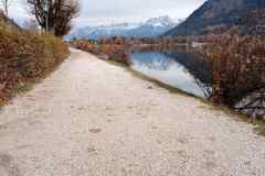 IMG_20241121_111450