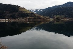 IMG_20241121_111459