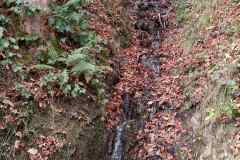 IMG_20241121_112612