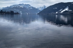 IMG_20250221_125156_HDR