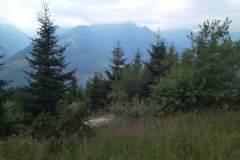 IMG_20220721_101515