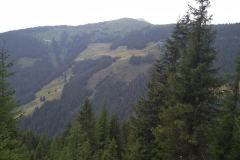 IMG_20220721_103334